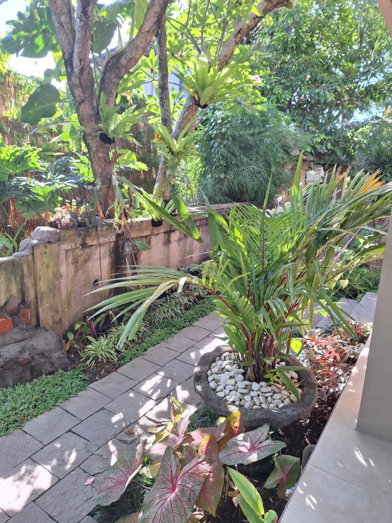 Kasapa Inn Ubud Exterior foto